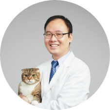這是一張圖