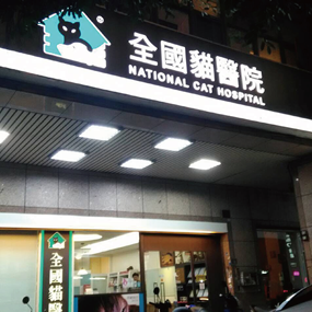 National Cat Hospital