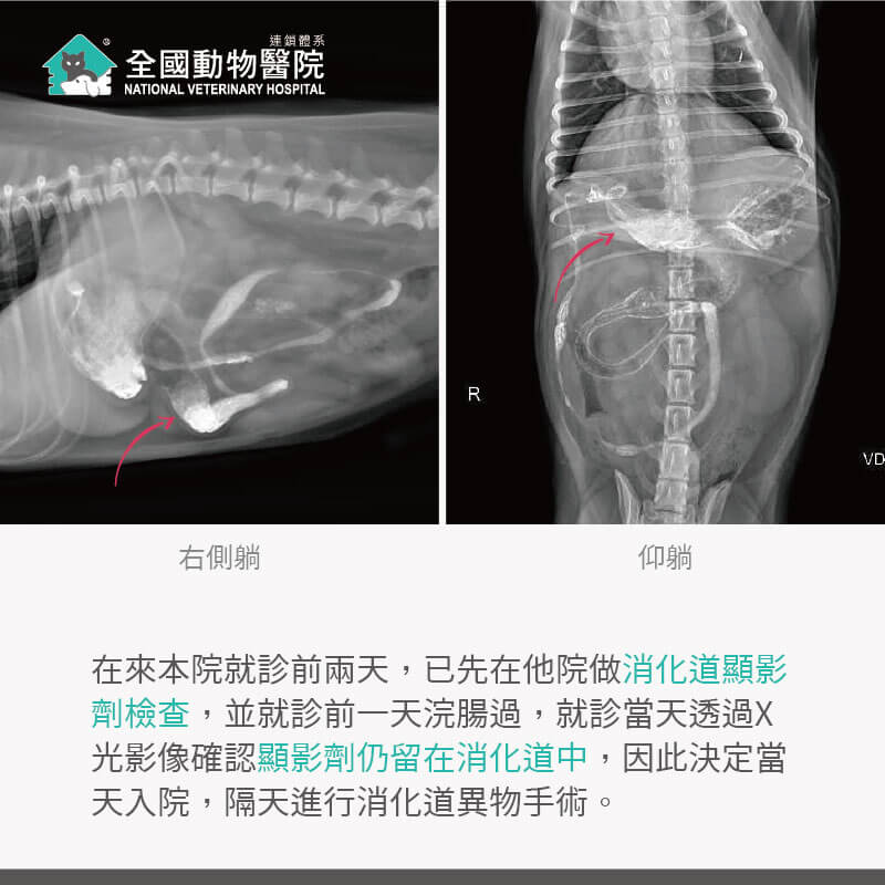 這是一張圖